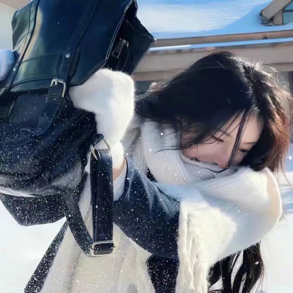 乐高星球大战:圣诞特别篇